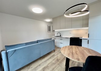 apartment for rent - Kraków, Dębniki, Ruczaj, Bunscha